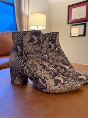 Steve Madden Snake Print Ankle Boots in Beige and navy blue